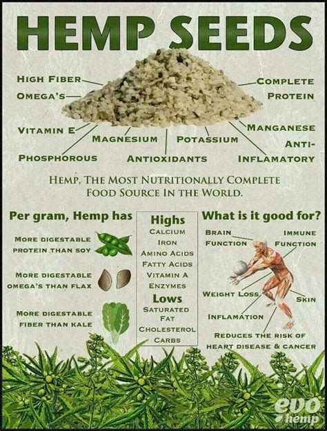 hemup|Hemp: Health Benefits, Nutrition, and Uses